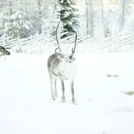 アパート Arctic Oasis ロヴァニエミ